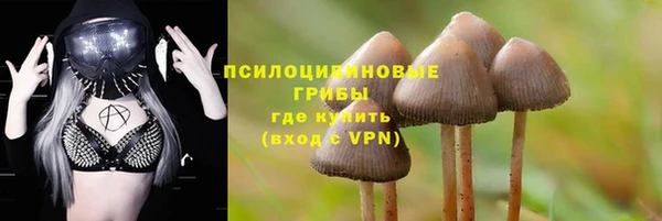 тгк Арсеньев
