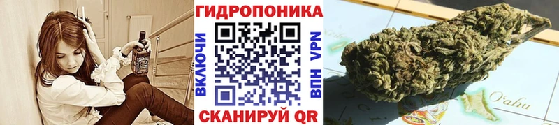 Бошки марихуана White Widow  Купить где  Трёхгорный 